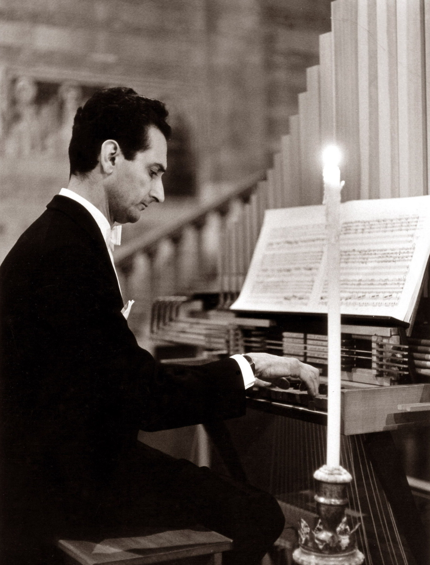 Free Website Template by Free-Template.co